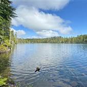 Bob's Lake