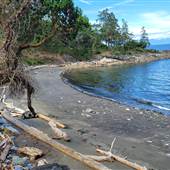 Dolphin Beach