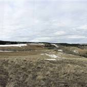 Kullagh Road - Newman Dam Top Hillside EARLY SPRING
