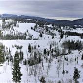 Gulliford Road and Mcphail Road and Houses WINTER