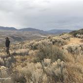 Kirkland Ranch Road Desert at Hairpin