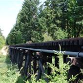 Green Lake Bridge Trestle*