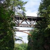 Nanaimo River Bridge Trestle