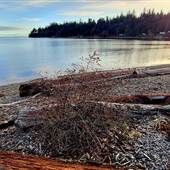 Sargeant Bay Provincial Park