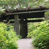 Stanley Park - Pipeline Road & Bridge