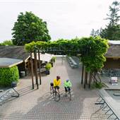 Mattick's Farm Courtyard