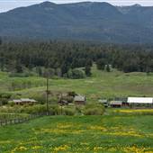 Twin Creeks Ranch (Guest Ranch) in Upper Hat Creek Valley