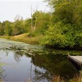 Campbell Valley Regional Park - McLean Pond