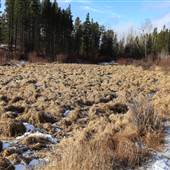 Nimpo Lake Community Trails