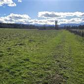 Paradise Acres Fields