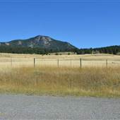 Mt Lolo Road - SEPTEMBER