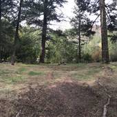 Spuis Creek - East Side Campsite - South of Little Box Canyon