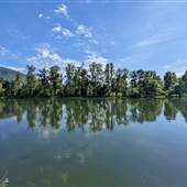 SHUSWAP RIVER MARA