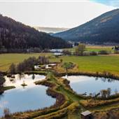 Patrick Farm Heart Shaped Ponds with Windmill and Dock