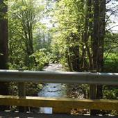 STREET - Marshall Road and Bridge