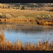Albert McGowan Park with Water Spray Park, Pond, Baseball & Hal Rogers Community Centre
