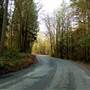 STREET - Miller Road