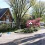 The Maples B & B