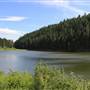 Joyce Lake 2013
