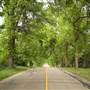 OTTER LAKE RD ARMSTRONG