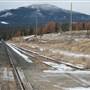 CN Tracks Siding WINTER