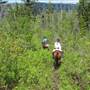 Pikes Peak Trail