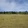 *Kullagh Road Grasslands - Hollis 01 Red Gate Area A,B,C