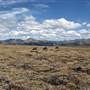 Perkins Peak