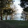 Cordova Bay Parkview Park
