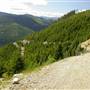 Switchback logging road