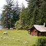 Donegall Head Cabin