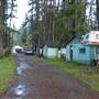Cabins on Fayette & Beaver Creek Roads