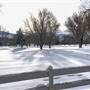 KELOWNA AREA ( Winter )