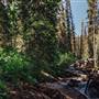 Silvertip Falls Trails and Water Falls