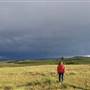 Kullagh Road Grasslands - Corral Road North 01 DUSK