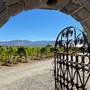 STONEHOUSE VINEYARD