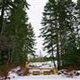 Clearcut on the Hump