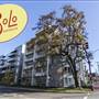 SoLo Suites