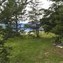 Adams Lake  Brennan Creek Clearing & Schoolhouse 35 km southend