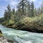 Skutz Falls (Cowichan River)
