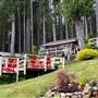 Denham Bay Wilderness Retreat