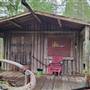 Frietag Cabin