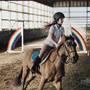 Painted Horse Equestrian