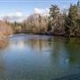 Puntledge River  (Condensory Bridge)