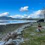 Little Bear Bay Recreation Site
