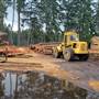 Gogo Sawmill