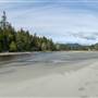 Pachena Estuary