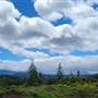 Nanaimo Lakes Road Vista