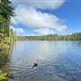 Bob's Lake