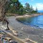 Dolphin Beach